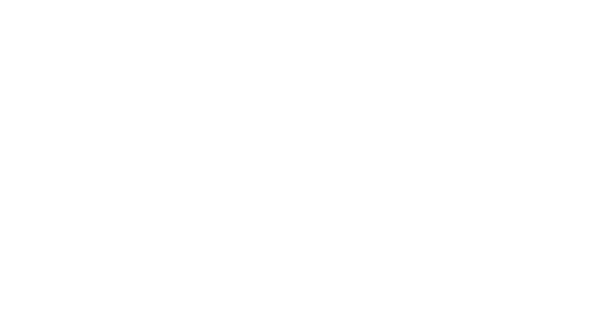 Zyon em fundo colorido